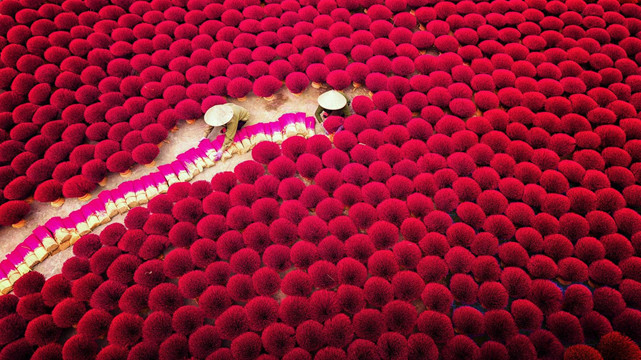 Beauté ensorcelante des villages de production des bâtonnets d’encens au Vietnam ảnh 2 Beauté ensorcelante des villages de production des bâtonnets d’encens au Vietnam ảnh 2