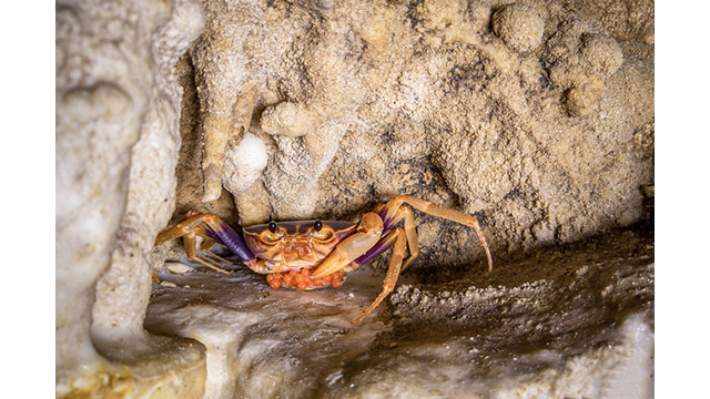 Admirez les splendides stalactites dans la grotte Nà La à Lang Son ảnh 2 Admirez les splendides stalactites dans la grotte Nà La à Lang Son ảnh 2