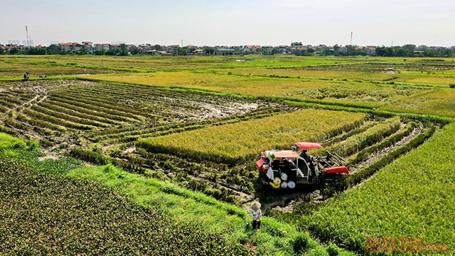 Hanoi fait face à une chaleur féroce en juin ảnh 4