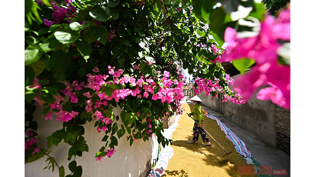 Hanoi fait face à une chaleur féroce en juin ảnh 5