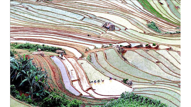 Les rizières en terrasse, peintures pittoresques de Son La ảnh 6