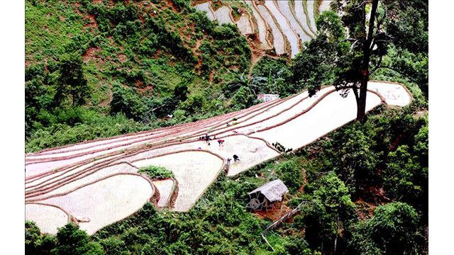 Les rizières en terrasse, peintures pittoresques de Son La ảnh 4