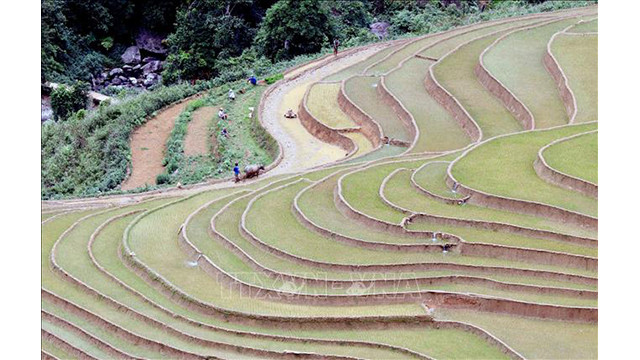 Les rizières en terrasse, peintures pittoresques de Son La ảnh 3