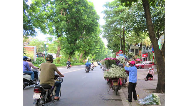 Hanoi brille de couleurs de fleurs d’automne ảnh 3 Hanoi brille de couleurs de fleurs d’automne ảnh 3