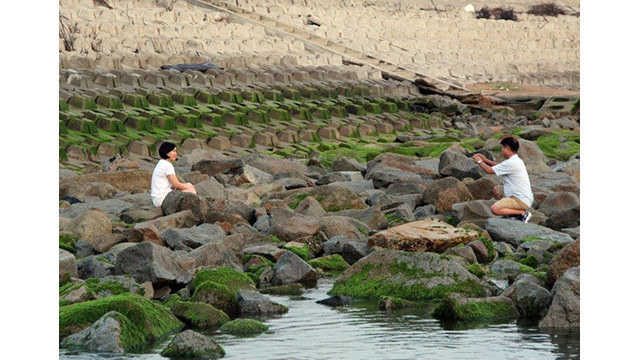 Les visiteurs affluent pour prendre des photos à Phu Yên ảnh 6 Les visiteurs affluent pour prendre des photos à Phu Yên ảnh 6