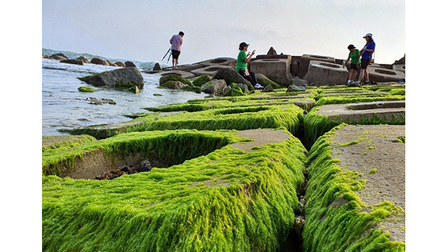 Les visiteurs affluent pour prendre des photos à Phu Yên ảnh 4 Les visiteurs affluent pour prendre des photos à Phu Yên ảnh 4
