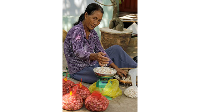 Originalité du marché de l’ail à Ly Son ảnh 1 Originalité du marché de l’ail à Ly Son ảnh 1