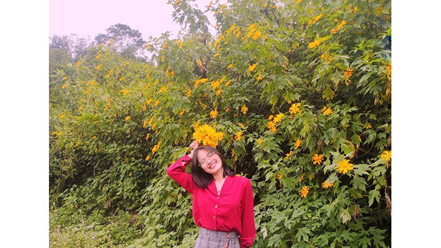 Les fleurs de tournesol mexicain colorent en jaune toute la région montagneuse du Nord-Ouest du Vietnam ảnh 5 Les fleurs de tournesol mexicain colorent en jaune toute la région montagneuse du Nord-Ouest du Vietnam ảnh 5