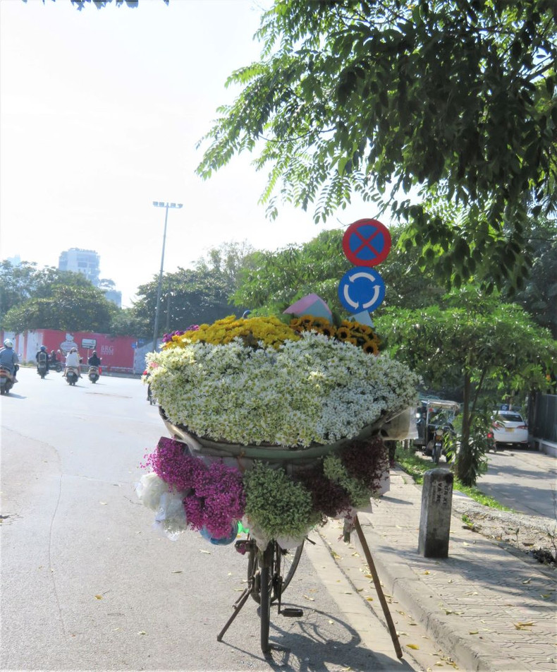 Hanoi brille de couleurs de fleurs d’automne ảnh 10 Hanoi brille de couleurs de fleurs d’automne ảnh 10