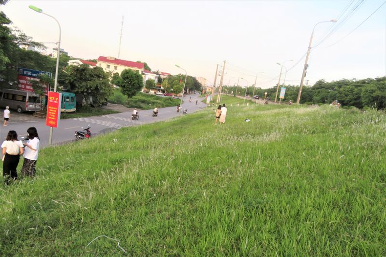 La saison des roseaux sur la digue du fleuve Rouge ảnh 5