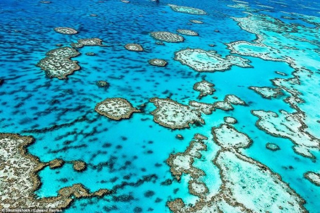 Mù Cang Chai dans la liste des 50 des plus beaux endroits du monde en 2020 ảnh 6 Mù Cang Chai dans la liste des 50 des plus beaux endroits du monde en 2020 ảnh 6