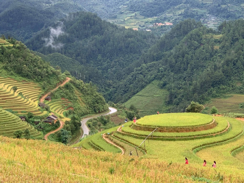 Mu Cang Chai inondé de la couleur jaune de rizières en terasse ảnh 8