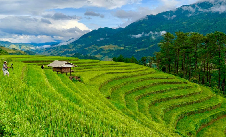 Mu Cang Chai inondé de la couleur jaune de rizières en terasse ảnh 2
