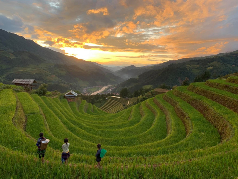 Mu Cang Chai inondé de la couleur jaune de rizières en terasse ảnh 9