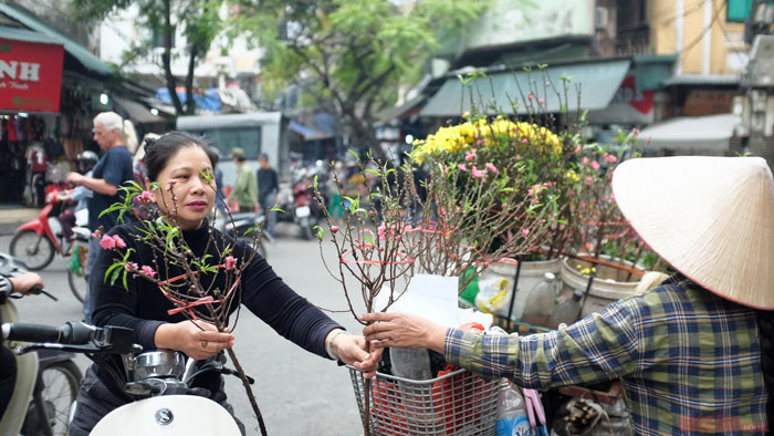 Des fleurs de pêcher précoces dans les rues de Hanoi ảnh 3