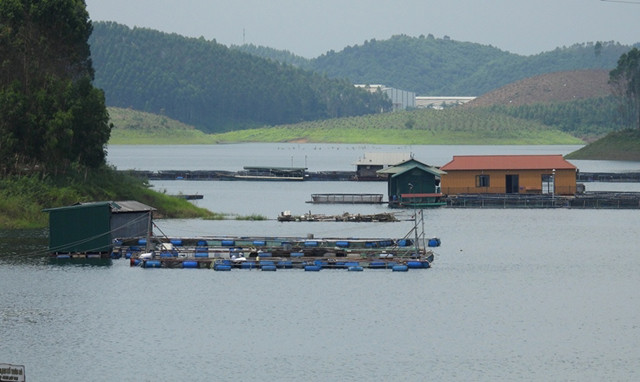 Réservoir hydroélectrique de Thac Bà, paysage de charme de Yên Bai ảnh 6 Réservoir hydroélectrique de Thac Bà, paysage de charme de Yên Bai ảnh 6