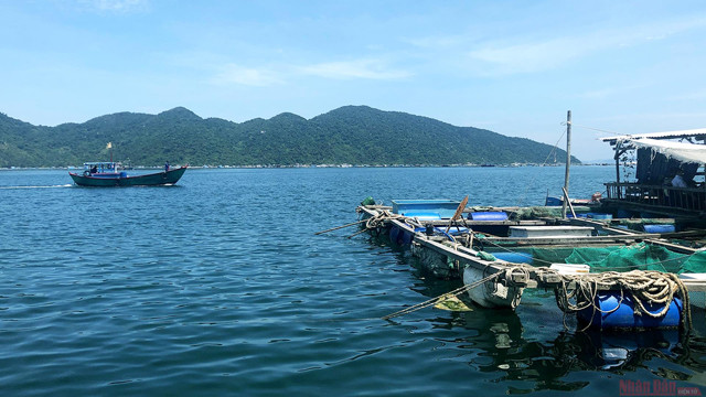 À la découverte du cap Dai Lanh et de la baie de Vung Rô ảnh 8 À la découverte du cap Dai Lanh et de la baie de Vung Rô ảnh 8
