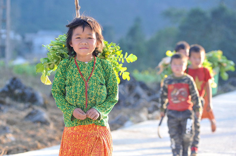 L’innocence des enfants sur le plateau calcaire de Dông Van ảnh 3 L’innocence des enfants sur le plateau calcaire de Dông Van ảnh 3