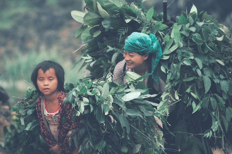 L’innocence des enfants sur le plateau calcaire de Dông Van ảnh 8 L’innocence des enfants sur le plateau calcaire de Dông Van ảnh 8