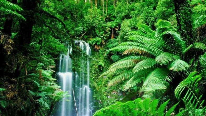 Les destinations idéales pour les vacances du Têt (Partie 2) ảnh 1