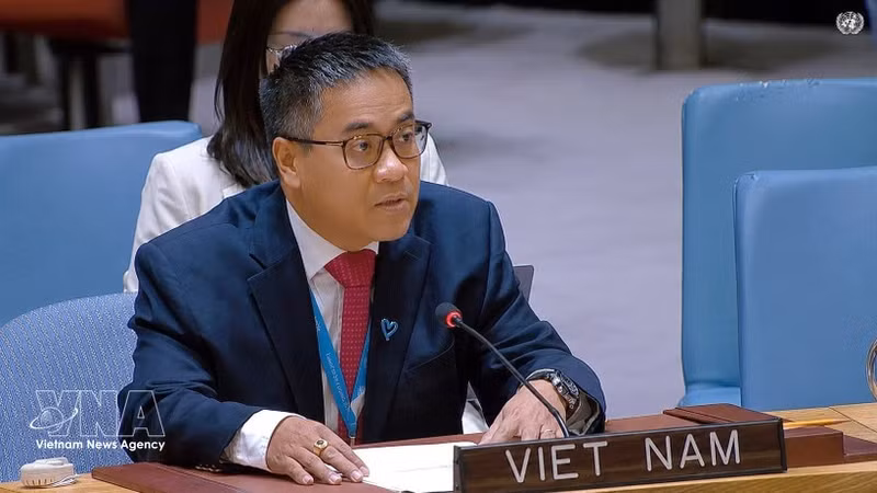 Nguyen Hai Luu, ministre-conseiller et chef adjoint de la Mission permanente du Vietnam auprès de l’ONU. Photo : VNA.