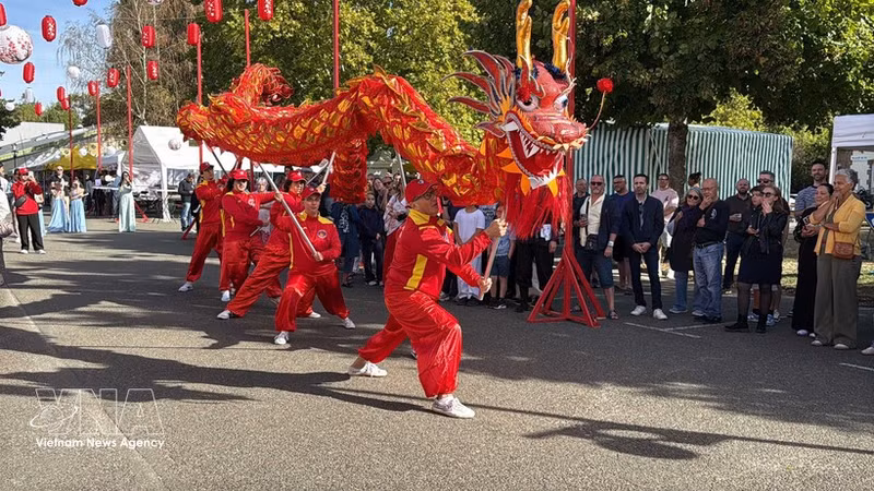 Danse du dragon représentée par des artistes vietnamiens au Japan Festival à Maintenon-Pierres. Photo : VNA.