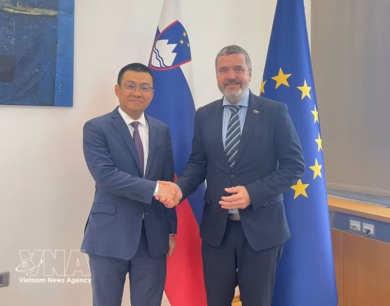 L'ambassadeur du Vietnam en Autriche, également accrédité en Slovénie, Vu Le Thai Hoang (à gauche), et le ministre slovène des Affaires étrangères et européennes, Tone Kajzer. Photo : VNA.