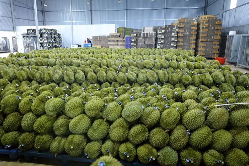 Les principaux secteurs d’exportation continuent de maintenir une bonne dynamique. Photo : VNA.