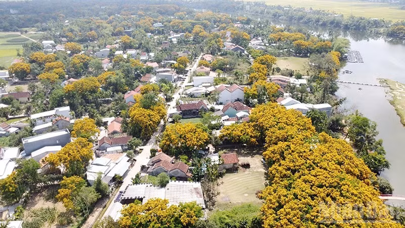 Le village écologique Huong Tra (quartier de Huong Tra) vu d'en haut. Photo : NDEL.