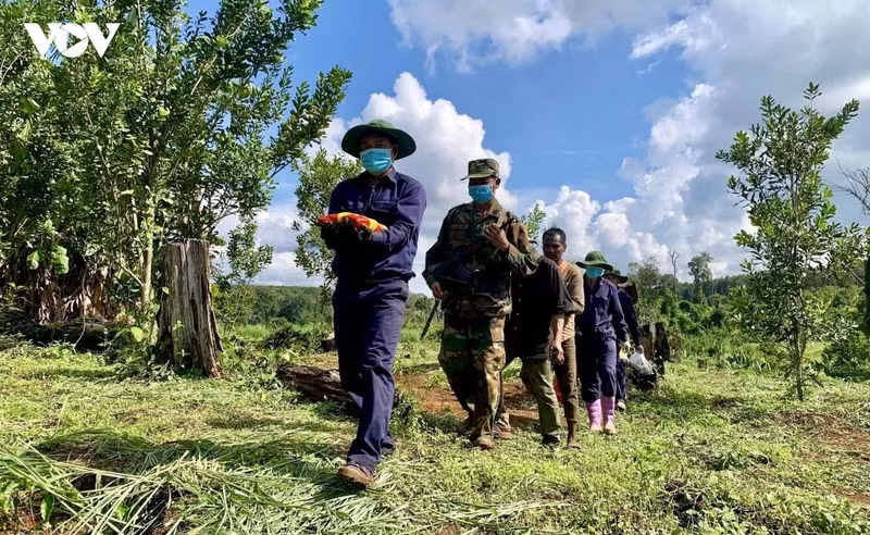 Les restes du premier soldat vietnamien mort pour la Patrie retrouvés par l’équipe K51 depuis le début de sa mission au Cambodge pour la saison sèche 2026-2027. Photo : l’équipe K51.