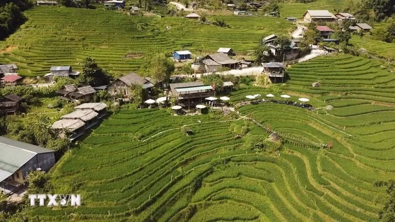 Le Vietnam adopte un programme pour les zones ethniques et montagneuses. Photo : VNA.