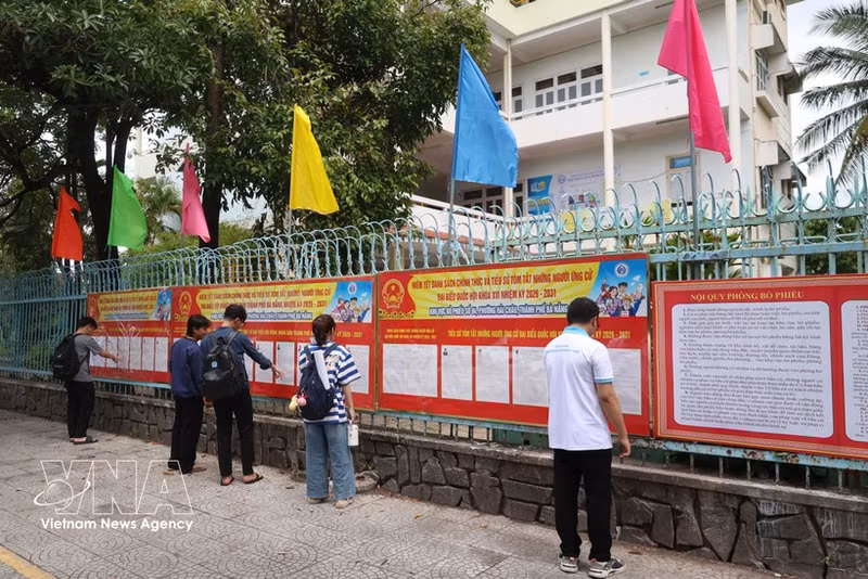 Des étudiants de l'Université de Da Nang lisent des informations des candidats. Photo : VNA.