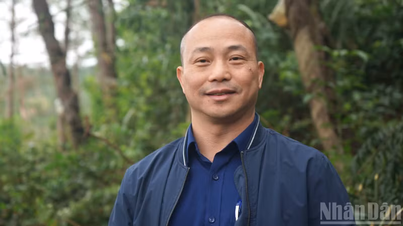 dao-ngoc-quang.jpg