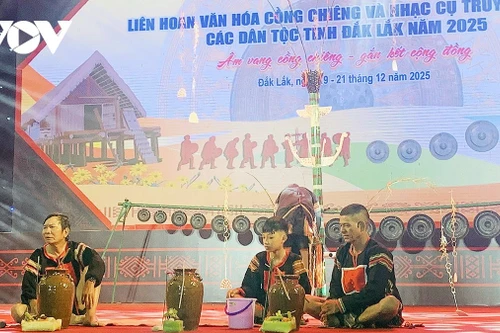 Cérémonies de culte traditionnelles empreintes d'humanité des Jarai. Photo : VOV.