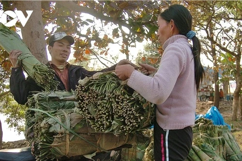 À cette période de l'année lunaire, le village artisanal de banh chung (gâteaux de riz gluant carrés traditionnellement préparés pour le Têt) de Tranh Khuc, en périphérie de Hanoï, est plus animé que jamais. Des camions chargés de feuilles de dong, de haricots, de riz et de gâteaux finis y entrent et en sortent tout au long de la journée. Photo : VOV