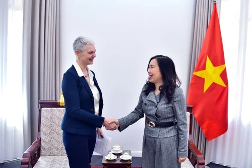 La vice-ministre des Affaires étrangères, Le Thi Thu Hang (droite) et l'ambassadrice de Norvège au Vietnam, Hilde Solbakken. Photo : VNA.