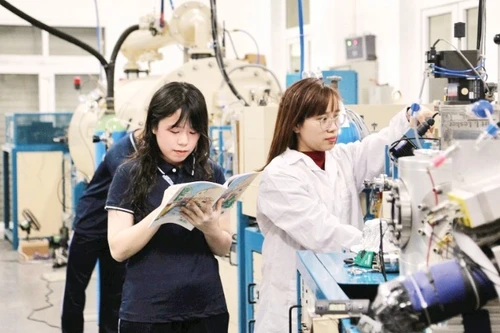 Des étudiants de l'Université nationale du Vietnam s'exercent en laboratoire. Photo : NDEL.
