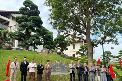 La cérémonie de reconnaissance de 12 arbres anciens comme arbres patrimoniaux du Viêt Nam s'est déroulée dans le quartier de Vu Ninh, province de Bac Ninh. Photo : VNA 