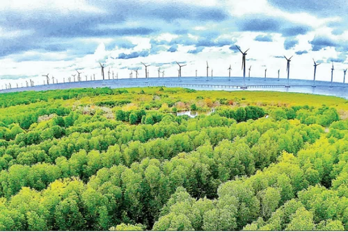 Le développement des énergies renouvelables est l'une des trois avancées stratégiques de Ca Mau à partir de 2026. Photo : NDEL.
