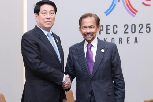 Le président vietnamien Luong Cuong et le sultan de Brunei, Hassanal Bolkiah, lors du sommet APEC 2025 en République de Corée. Photo : VNA.