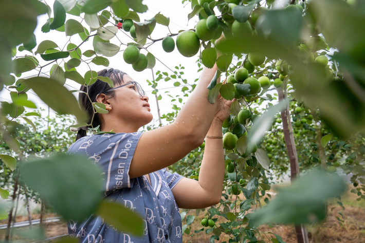 Tô Thi Nhu Ngà partage les bénéfices qu’elle a tirés du projet. Photo : ONU Femmes.