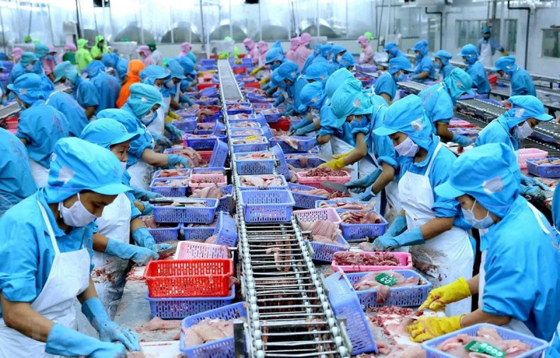 En janvier 2024, les exportations de produits aquatiques du Vietnam ont atteint 730 millions de dollars. Photo : congthuong En janvier 2024, les exportations de produits aquatiques du Vietnam ont atteint 730 millions de dollars. Photo : congthuong