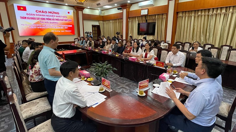 Séance de travail entre le comité populaire de Hai Duong et la délégation japonaise. Photo : NDEL. Séance de travail entre le comité populaire de Hai Duong et la délégation japonaise. Photo : NDEL.