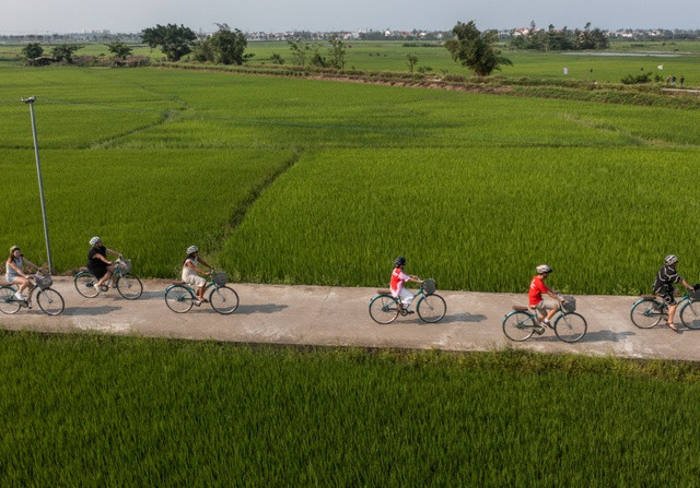 Les touristes font du vélo sur un sentier traversant des rizières à la périphérie de Hôi An. Photo : Broadsheet. Les touristes font du vélo sur un sentier traversant des rizières à la périphérie de Hôi An. Photo : Broadsheet.