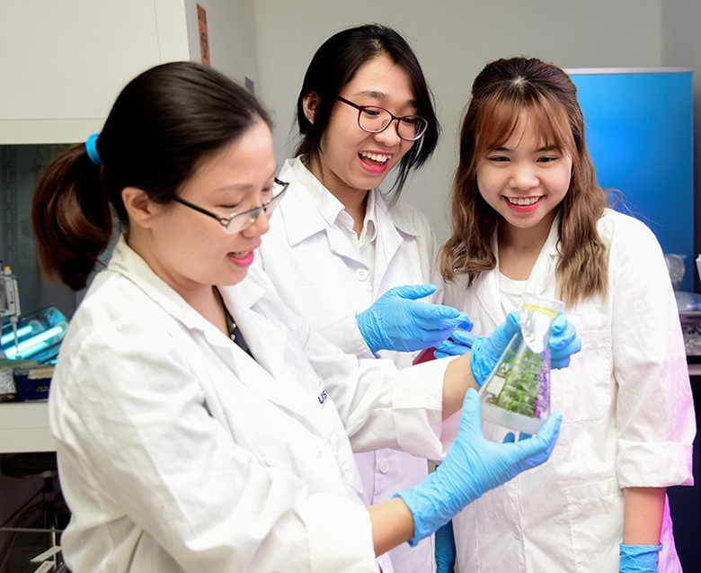 Des femmes scientifiques de l'Académie vietnamienne des sciences et de la technologie étudient le système d'édition génétique CRISPR/Cas - Photo : VAST. Des femmes scientifiques de l'Académie vietnamienne des sciences et de la technologie étudient le système d'édition génétique CRISPR/Cas - Photo : VAST.