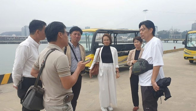Des représentants de Peace Boat (Japon) et des unités concernéé inspectent les préparatifs pour accueillir pour la première fois plus de 1 700 passagers de navires de croisière en provenance du Japon à Ha Long. Photo : laodong.vn