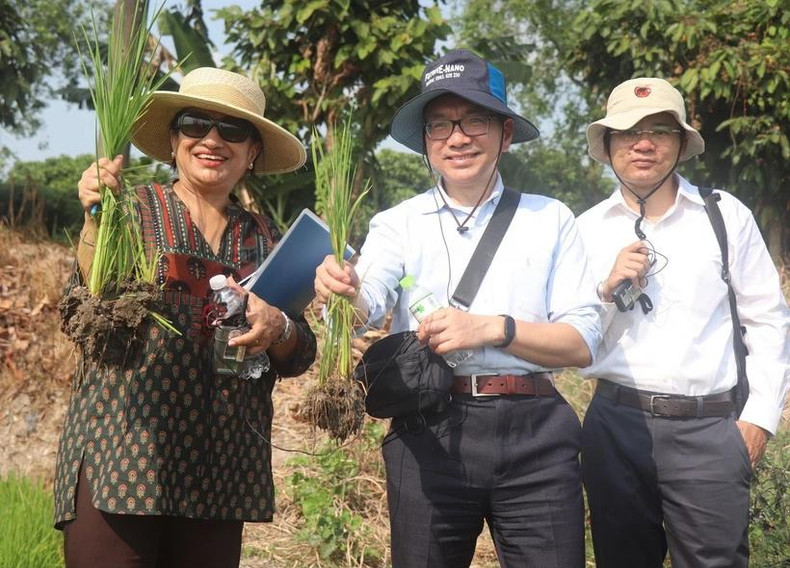 Shobha Shetty, directrice mondiale de l'Agriculture et de l'Alimentation à la Banque mondiale, inspecte une rizière cultivée selon le modèle de production à faibles émissions. Photo : VNA