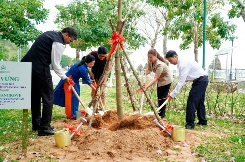 Le Consulat général de l’Inde à Hô Chi Minh-Ville, accompagné des délégués, a participé à la plantation d’arbres de l’amitié au parc de la rivière Hậu (district de Ninh Kiêu, ville de Cân Tho). Photo : thoidai. Le Consulat général de l’Inde à Hô Chi Minh-Ville, accompagné des délégués, a participé à la plantation d’arbres de l’amitié au parc de la rivière Hậu (district de Ninh Kiêu, ville de Cân Tho). Photo : thoidai.