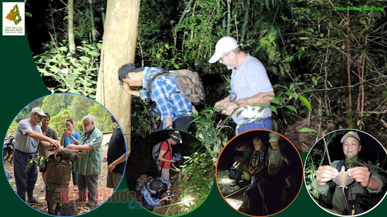 Activités de recherche sur le terrain. Activités de recherche sur le terrain.