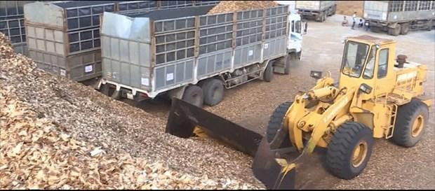 Photo: thanhnien.vn Photo: thanhnien.vn